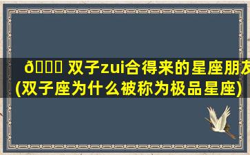 🍀 双子zui
合得来的星座朋友(双子座为什么被称为极品星座)
